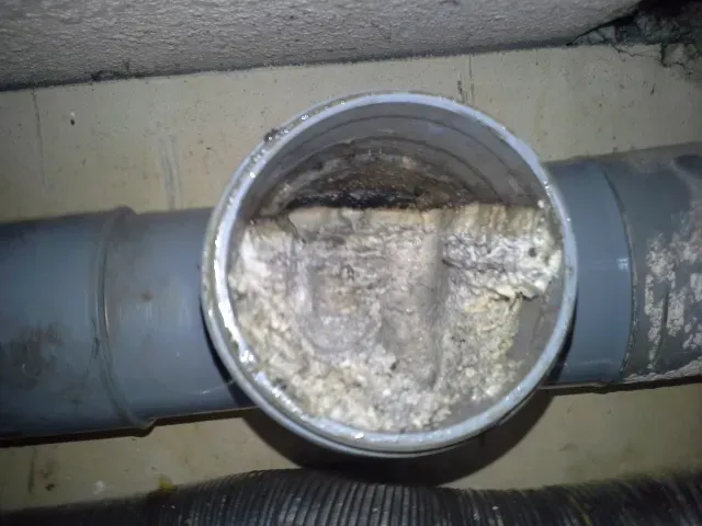 graisse dans canalisation immeuble